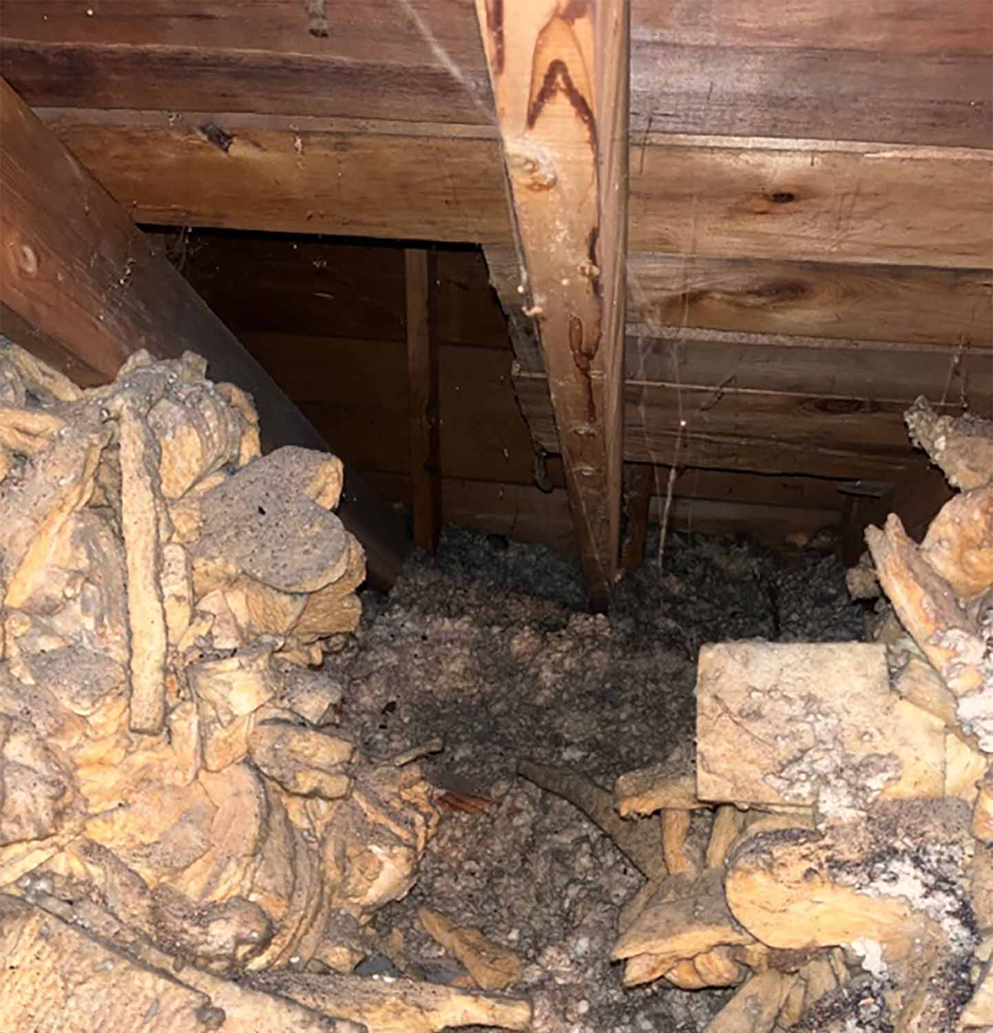 attic before insulation